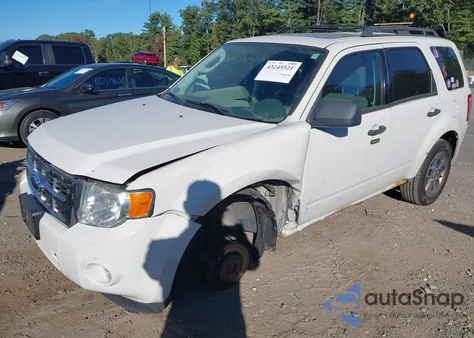 2009 Ford Escape Xlt from USA, damaged, VIN 1FMCU03G89KD11246